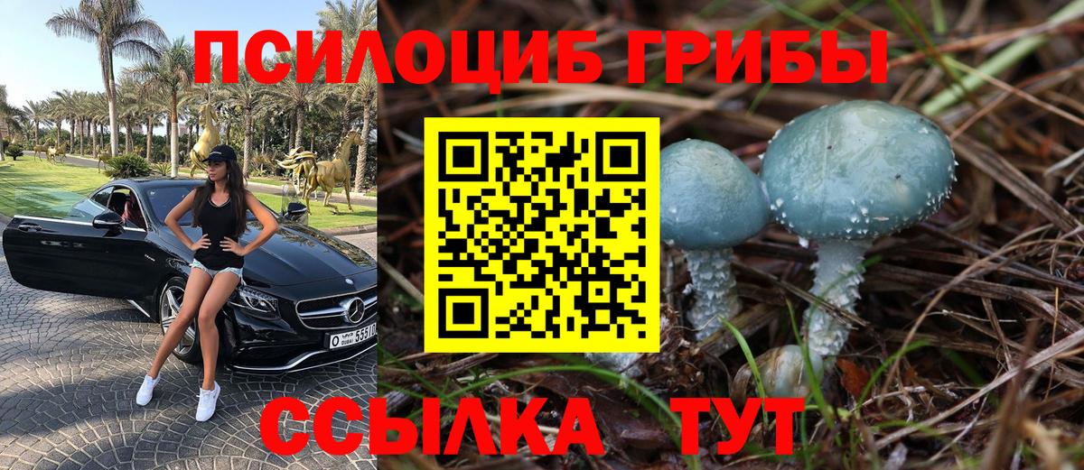 Пушкино  купить  сайты  Вход с VPN  Галлюциногенные грибы Magic Shrooms 