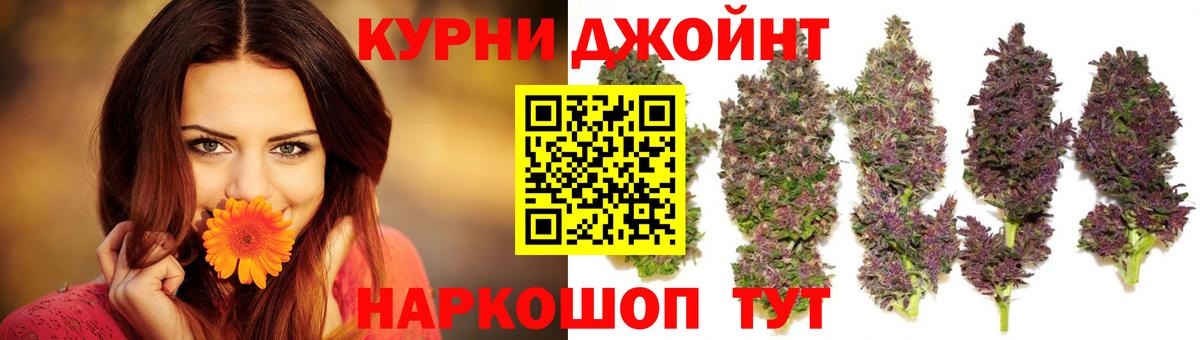 Конопля планчик Пушкино